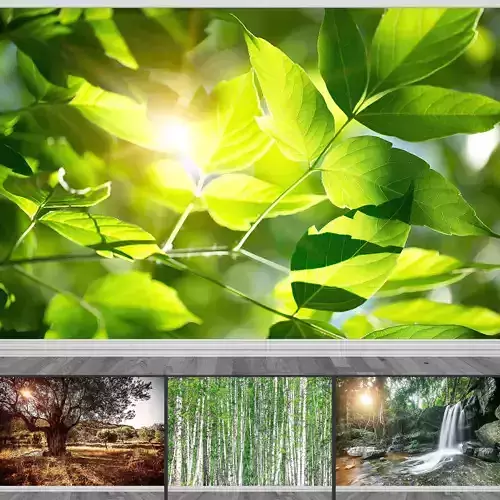 Photo Wallpaper No 24