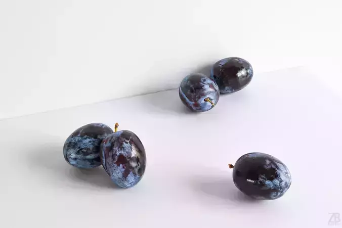 Plum  3D model