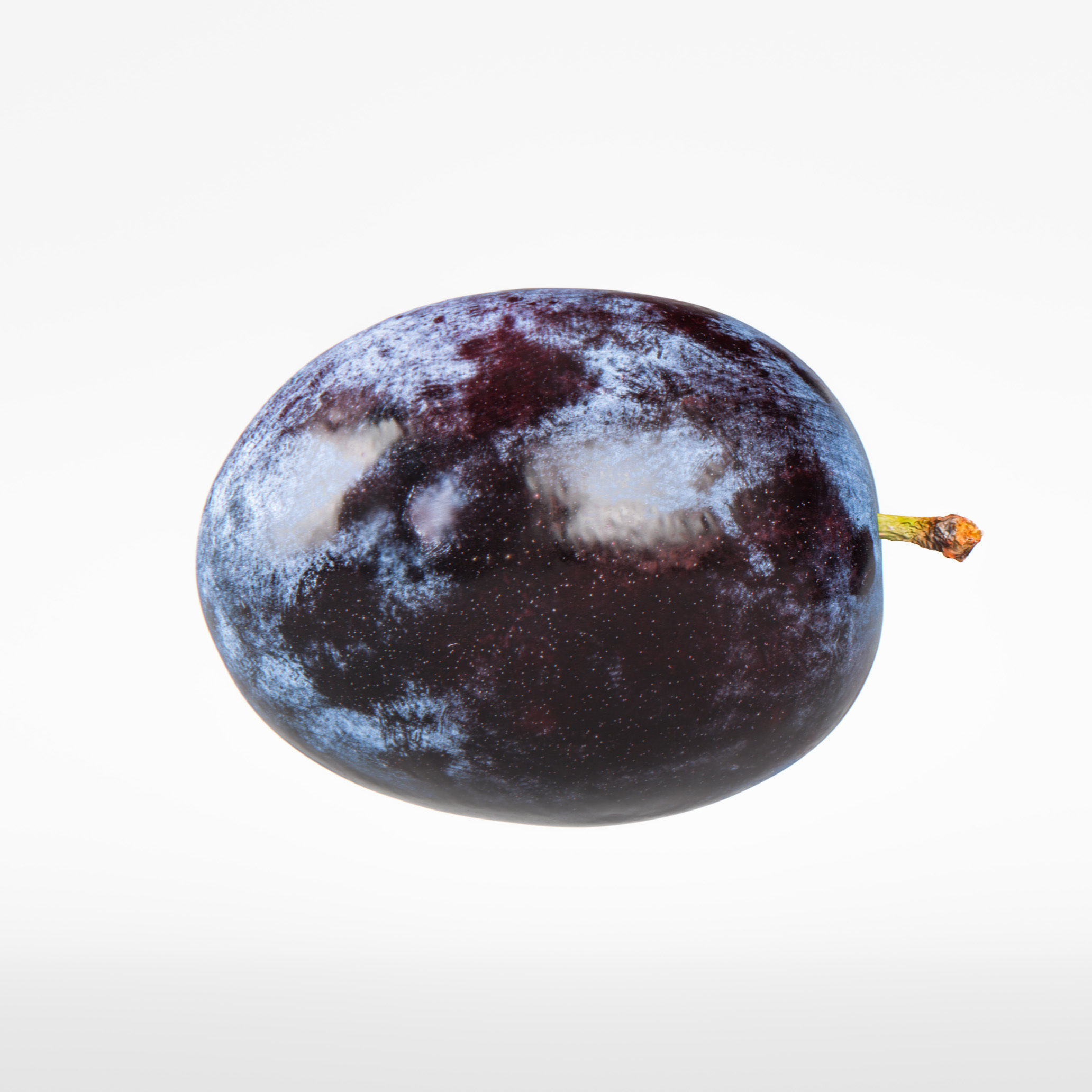 Plum  3D model_5