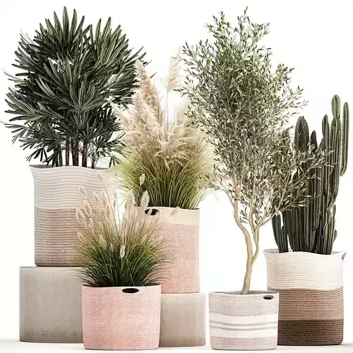 Ornamental plants in fabric baskets for decoration 1093