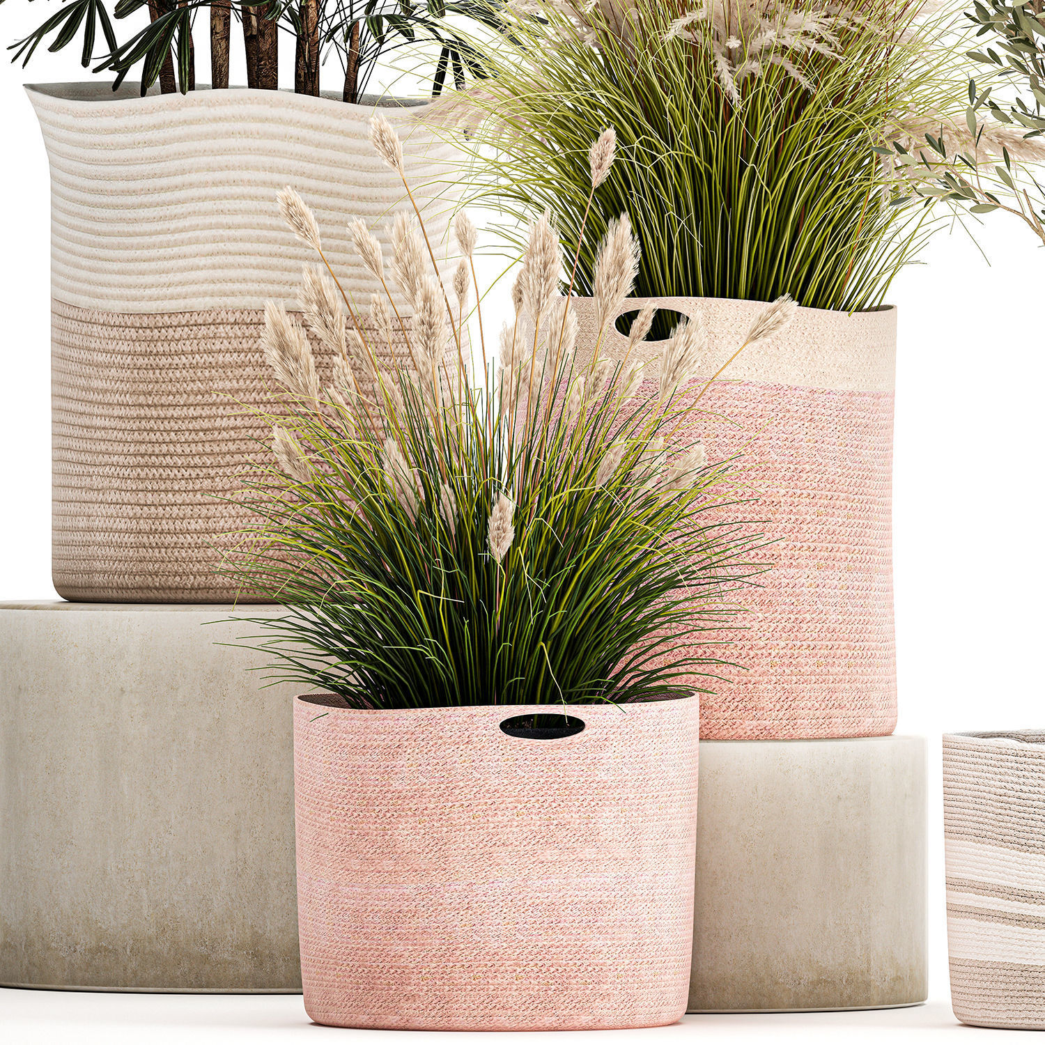 Ornamental plants in fabric baskets for decoration 1093 3D model_1