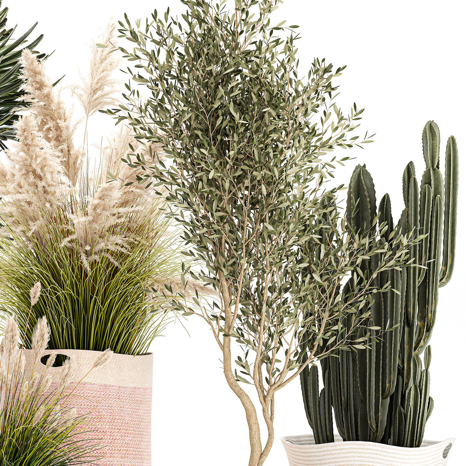 Ornamental plants in fabric baskets for decoration 1093 3D model_3