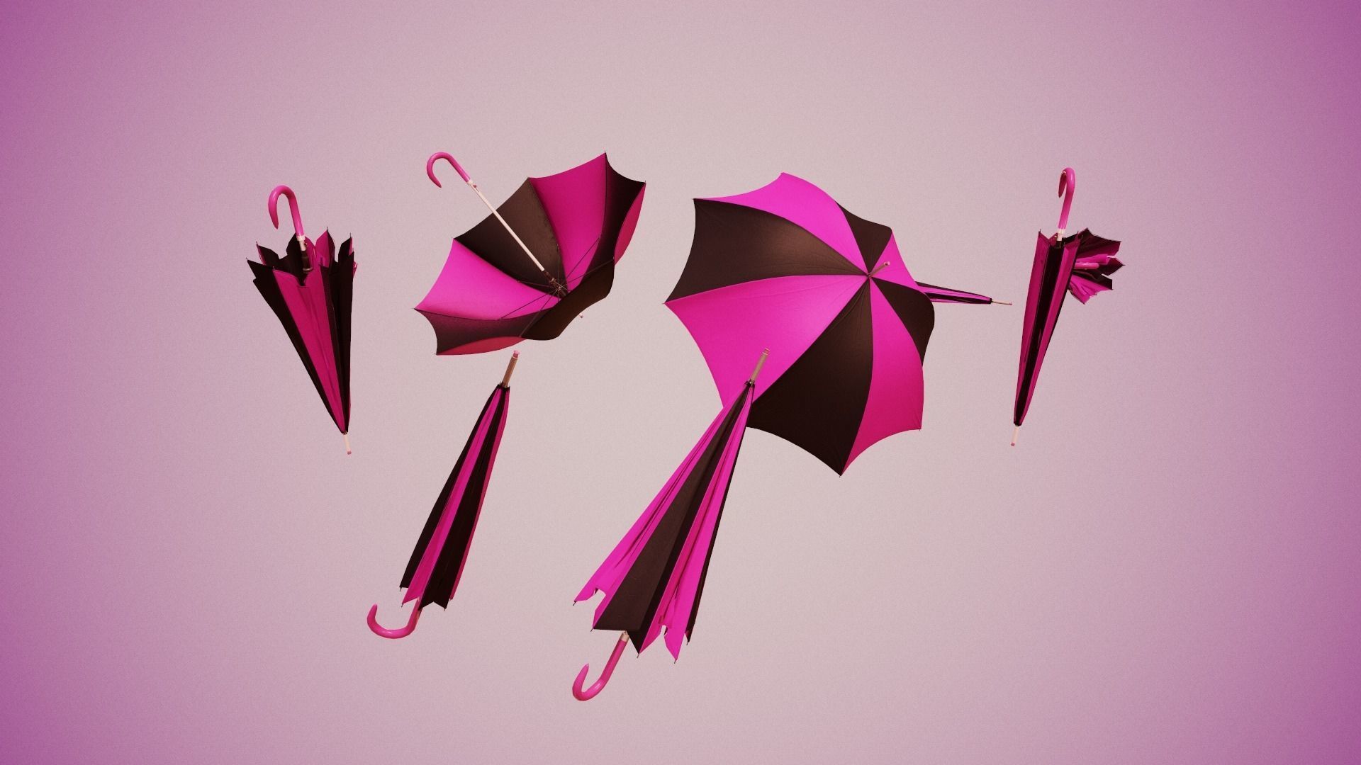 Umbrella Animated Low-poly 3D model_13