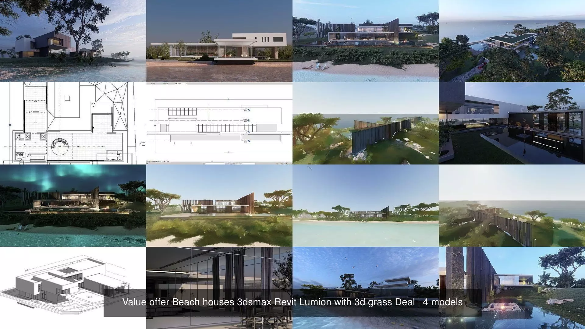 Value offer Beach houses 3dsmax Revit Lumion with 3d grass Deal 3D Model Collection_0