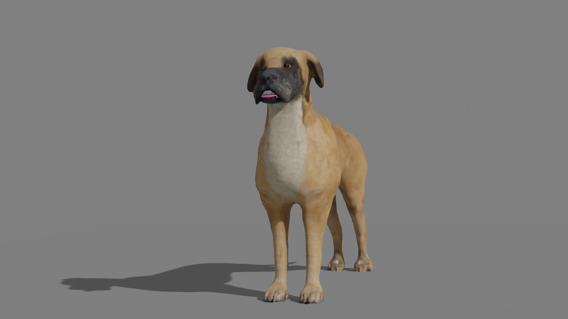 GREAT DANE Low-poly 3D model_16
