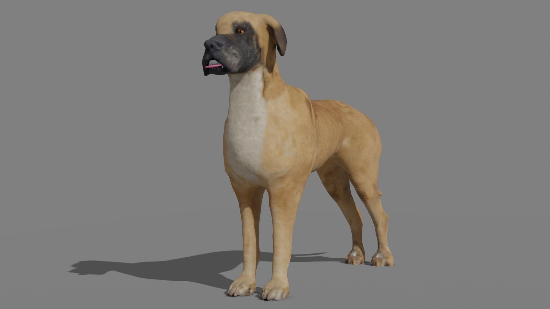 GREAT DANE Low-poly 3D model_14