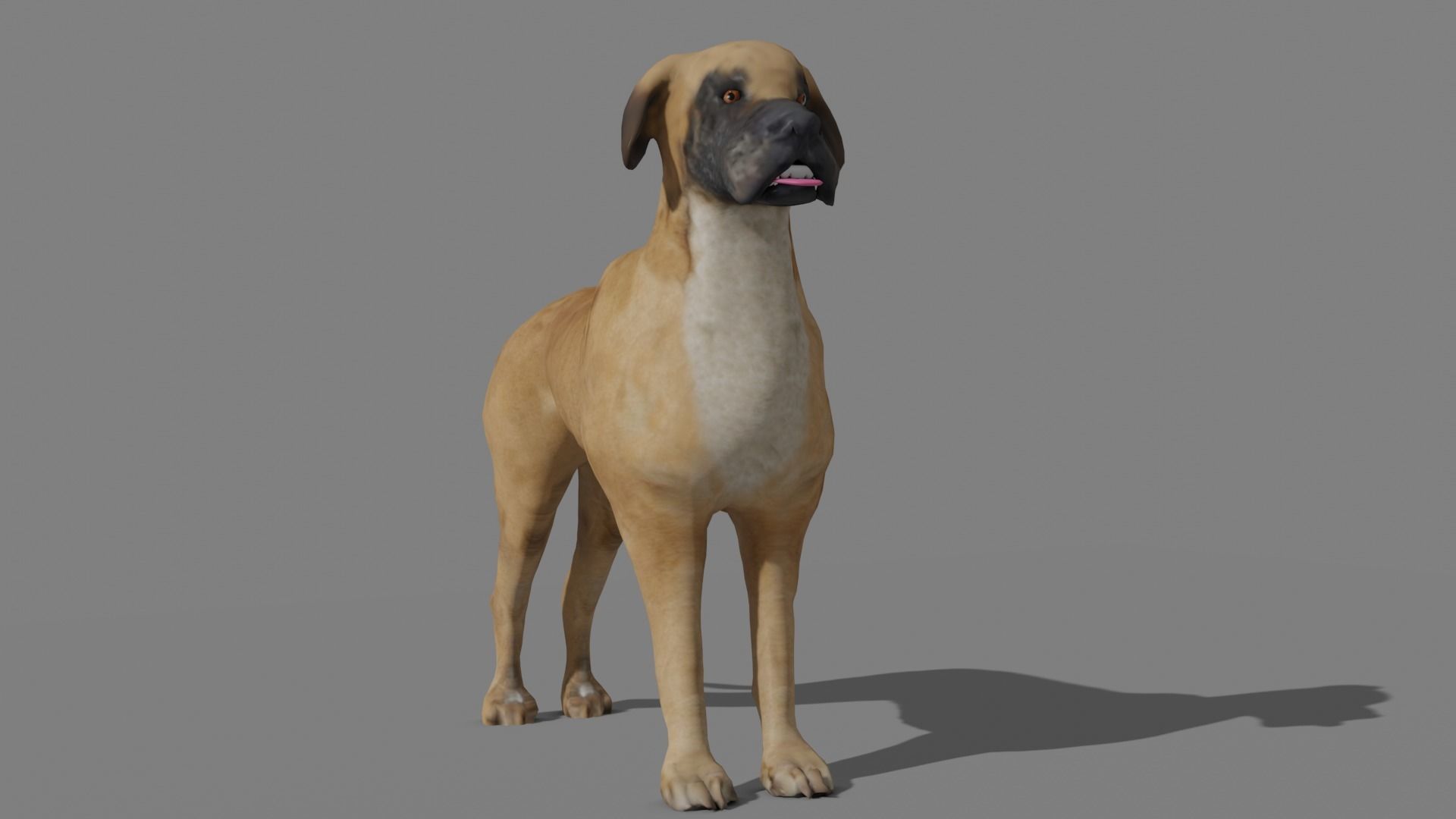 GREAT DANE Low-poly 3D model_18