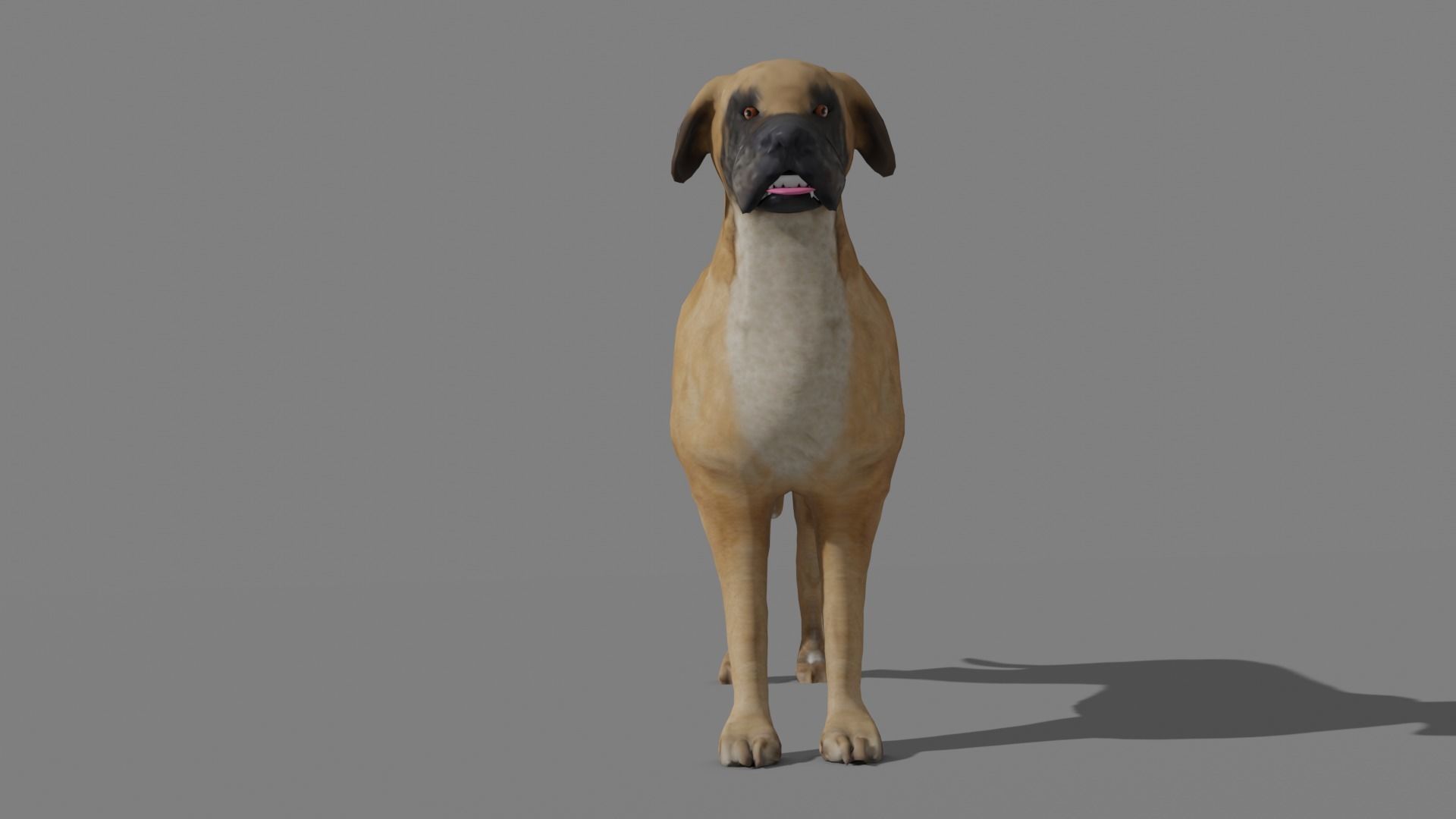 GREAT DANE Low-poly 3D model_17