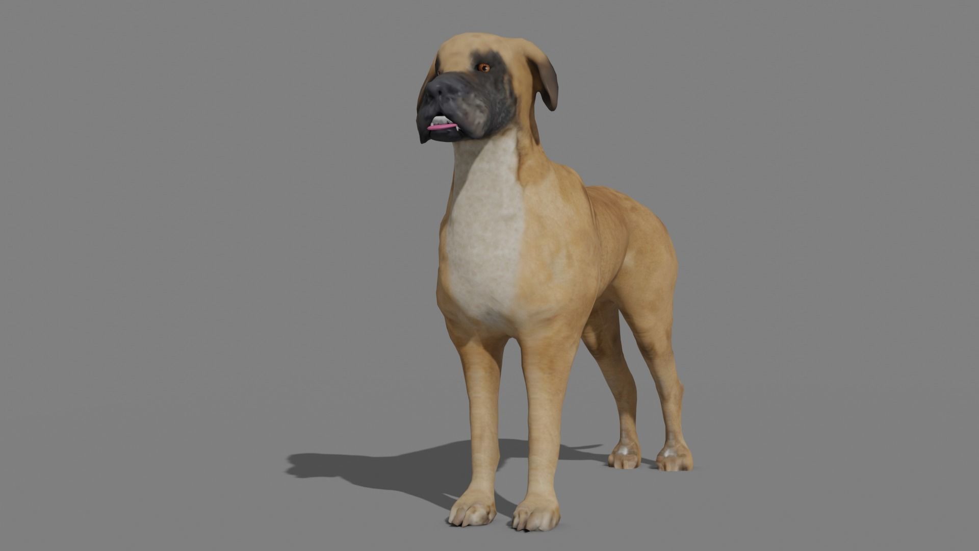 GREAT DANE Low-poly 3D model_3