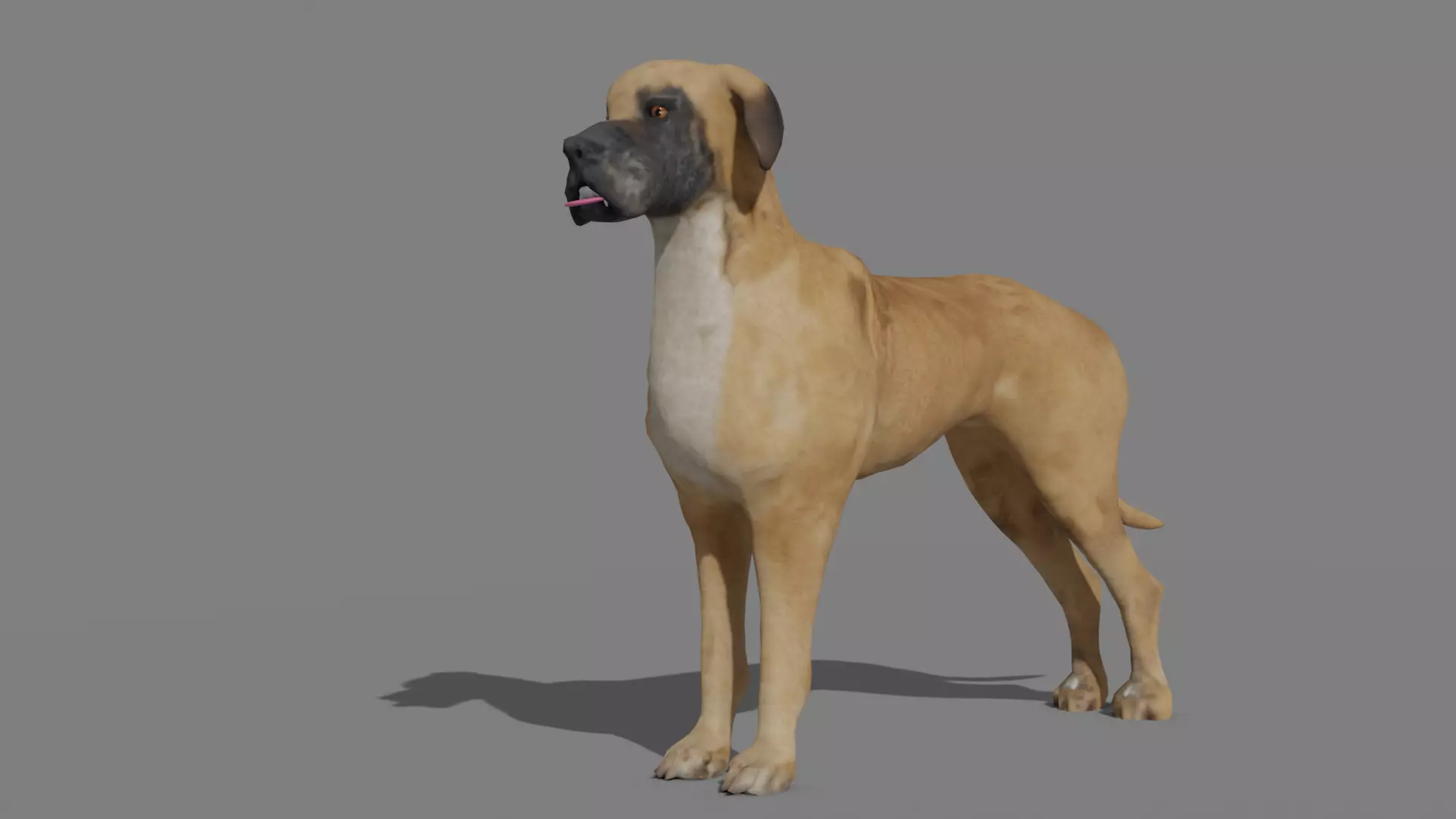 GREAT DANE Low-poly 3D model_0
