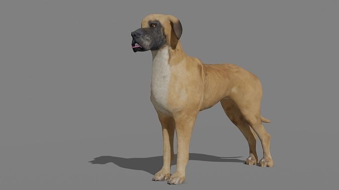 GREAT DANE Low-poly 3D model
