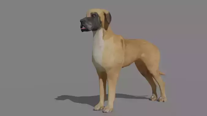 GREAT DANE Low-poly 3D model