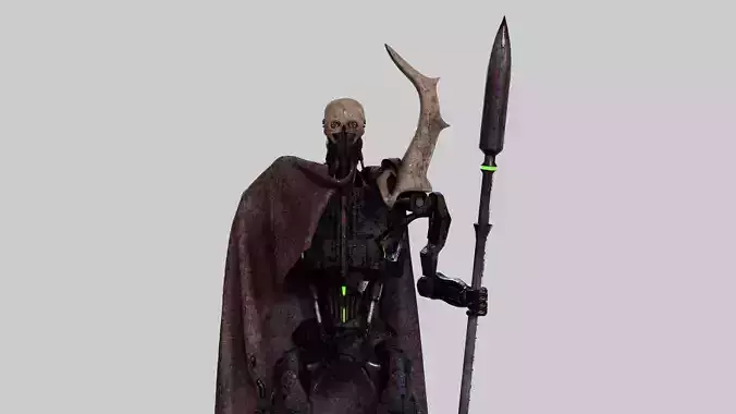 Guardian star wars character with spear