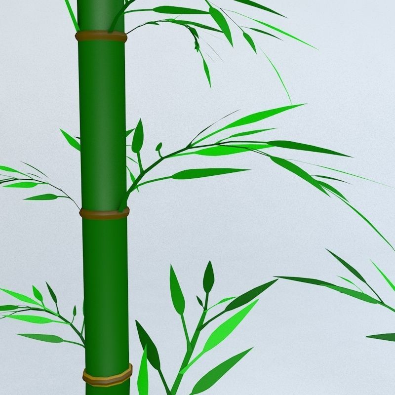 Bamboo Low-poly 3D model_19