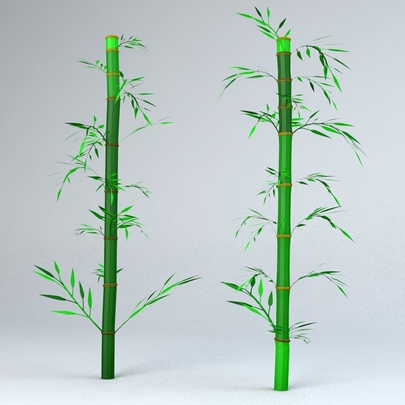 Bamboo Low-poly 3D model_17