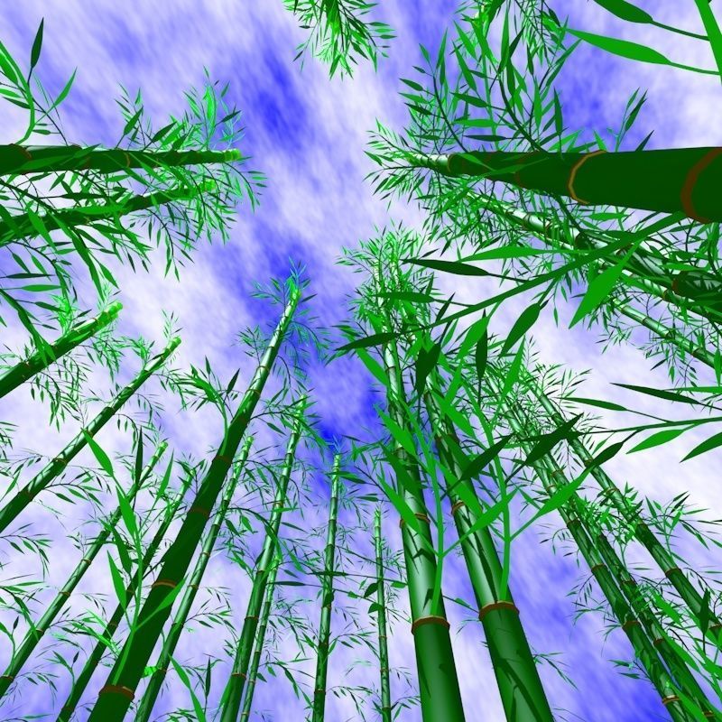 Bamboo Low-poly 3D model_7