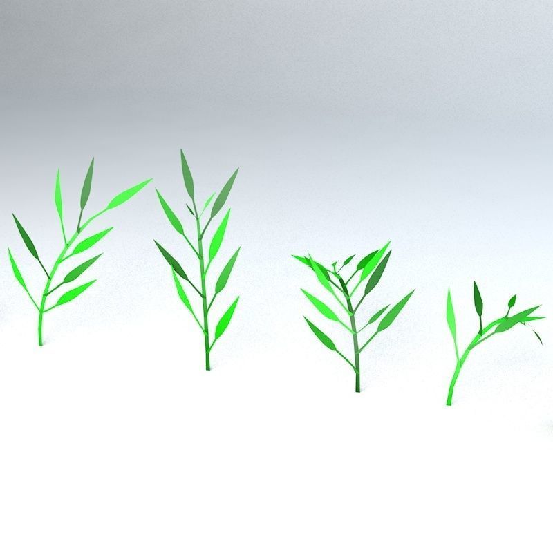 Bamboo Low-poly 3D model_21