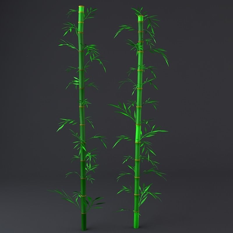 Bamboo Low-poly 3D model_2