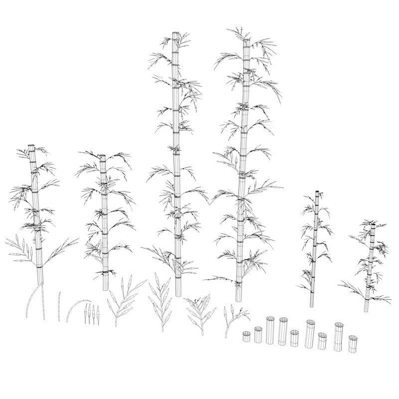 Bamboo Low-poly 3D model_33
