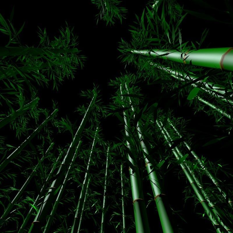 Bamboo Low-poly 3D model_9