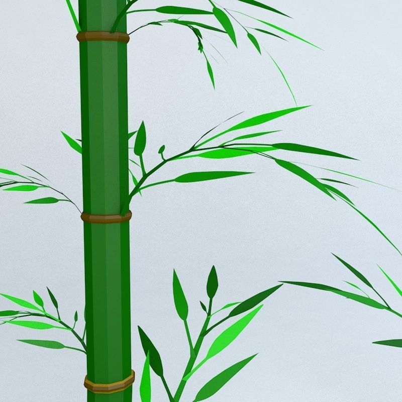 Bamboo Low-poly 3D model_20