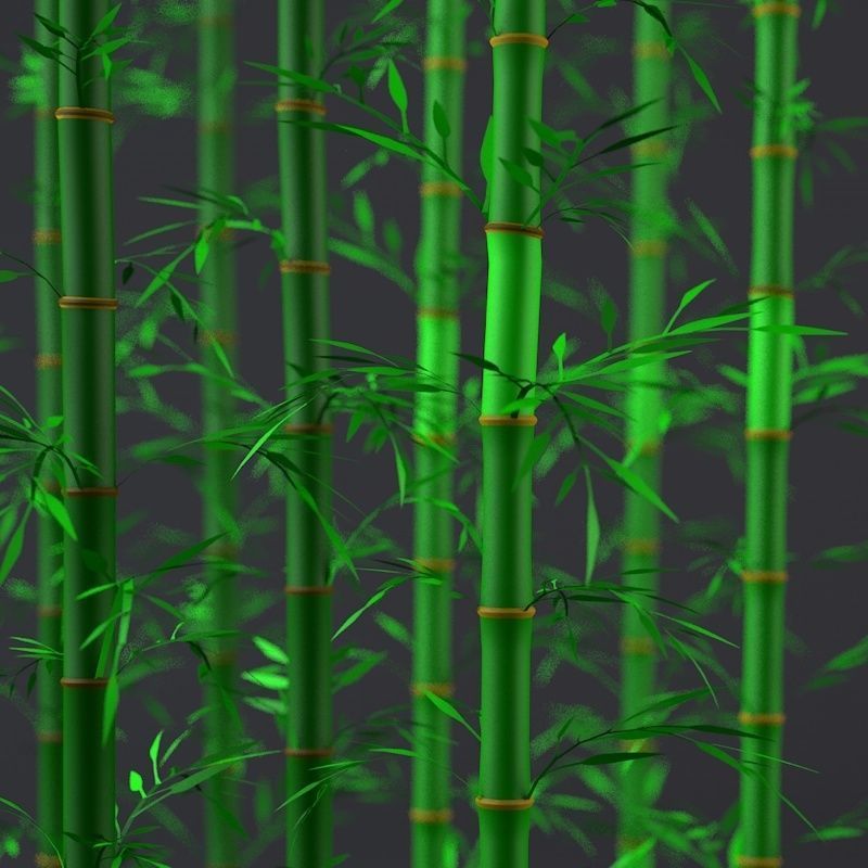 Bamboo Low-poly 3D model_3