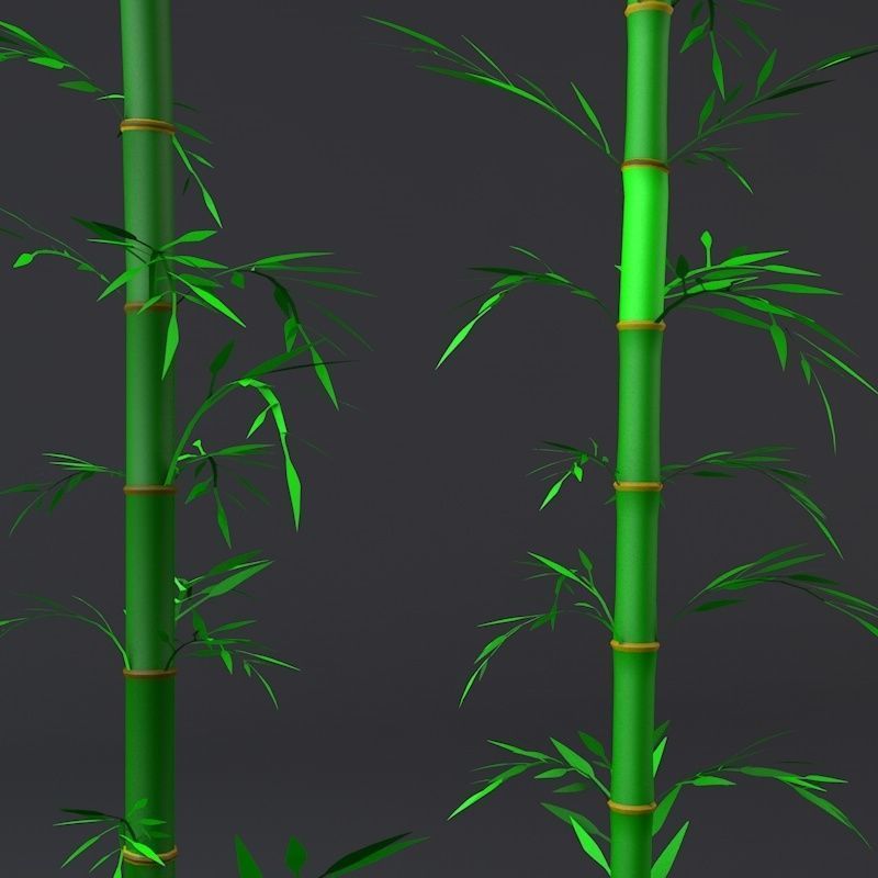 Bamboo Low-poly 3D model_1