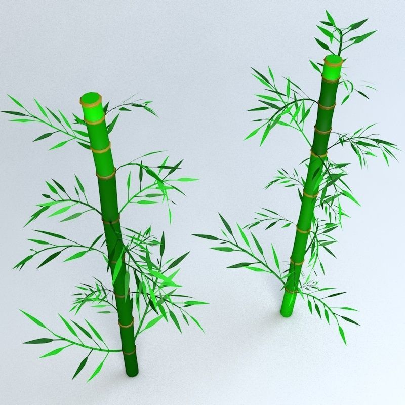 Bamboo Low-poly 3D model_18