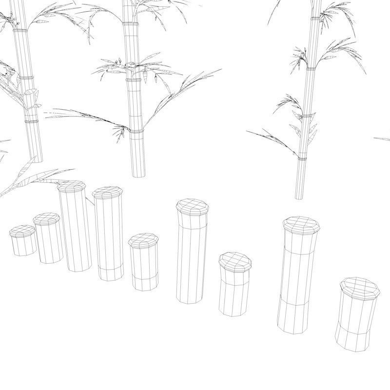 Bamboo Low-poly 3D model_37
