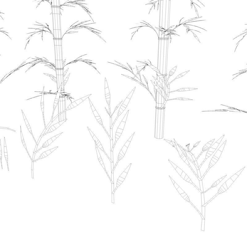 Bamboo Low-poly 3D model_36