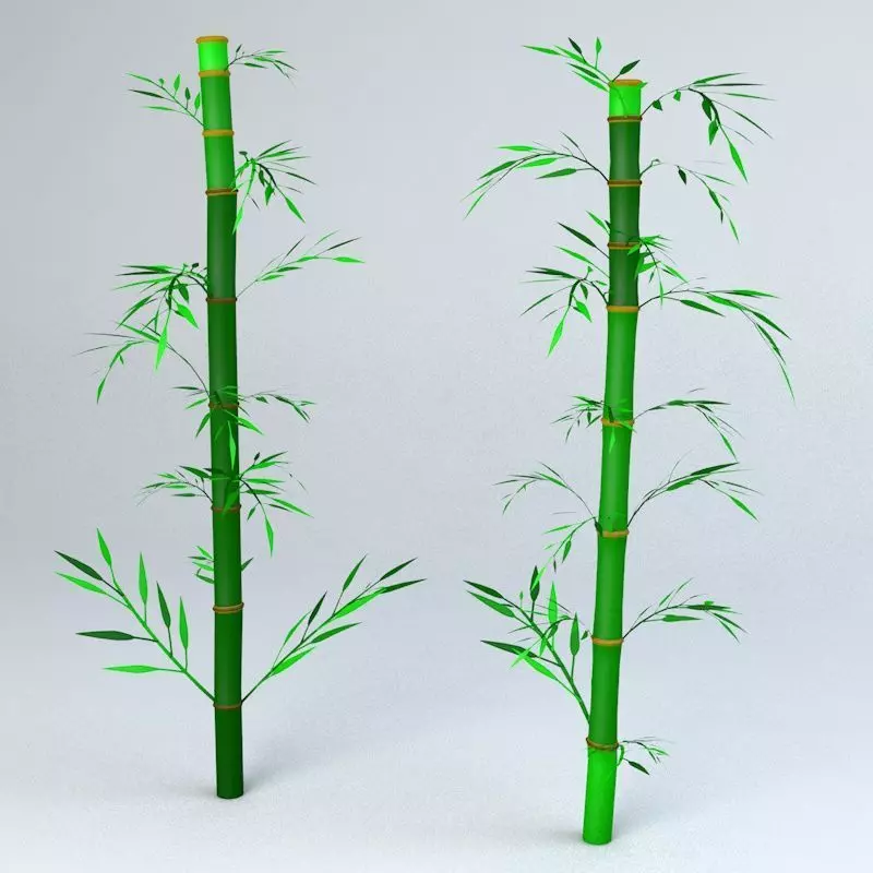 Bamboo Low-poly 3D model_0