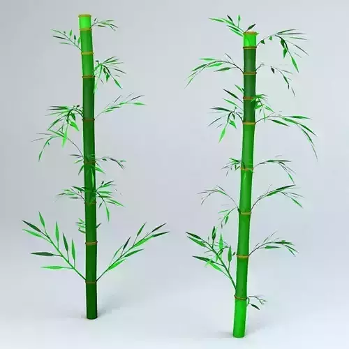 Bamboo Low-poly 3D model