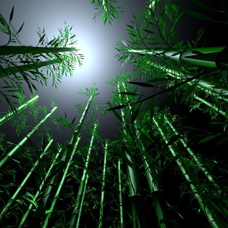 Bamboo Low-poly 3D model_5