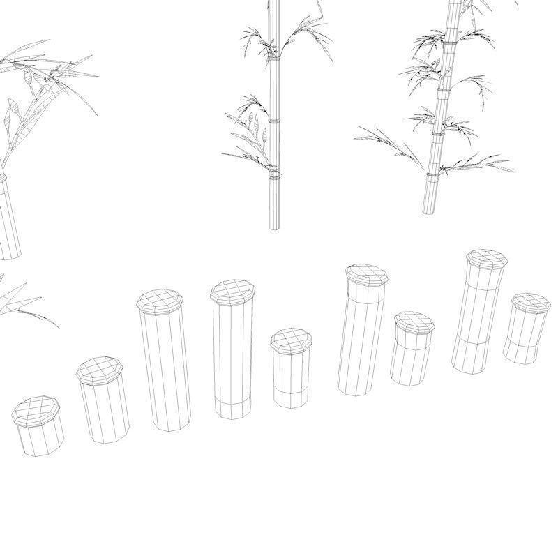 Bamboo Low-poly 3D model_38