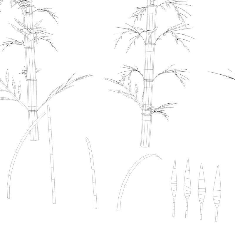 Bamboo Low-poly 3D model_35