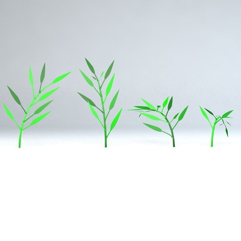 Bamboo Low-poly 3D model_22