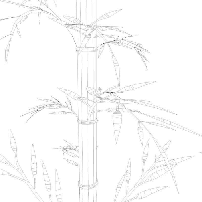 Bamboo Low-poly 3D model_34