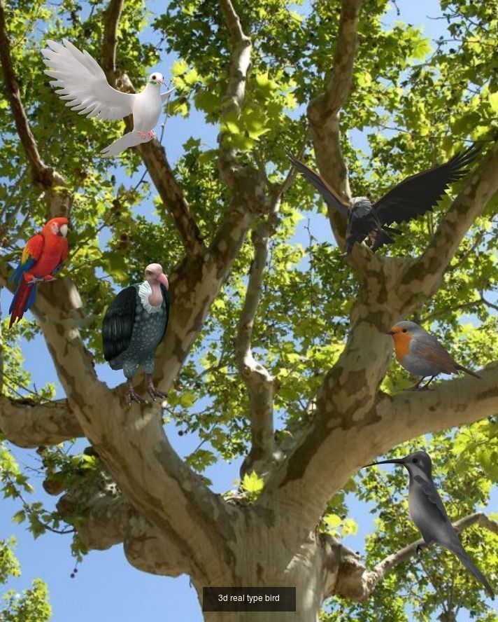 3d pyramid  animals  3D Model Collection_3