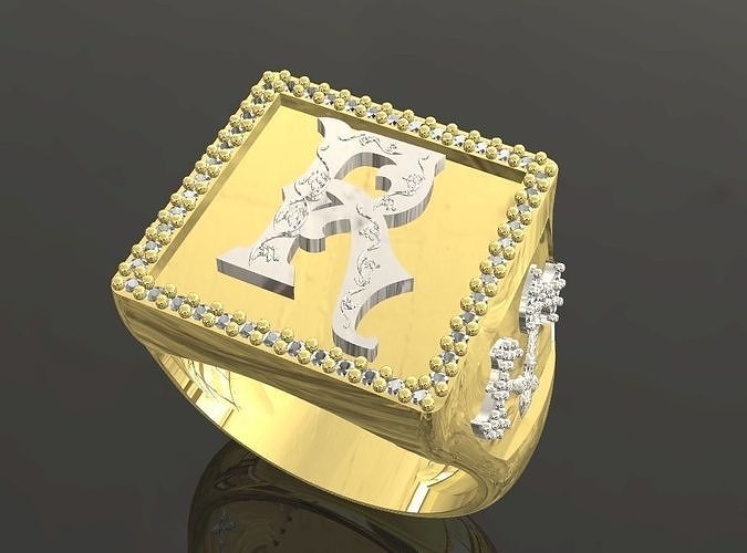 initial ring 3D print model
