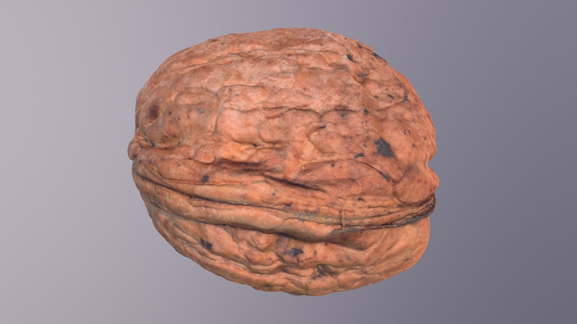 Walnut fruit 03 high-poly 3D model_24