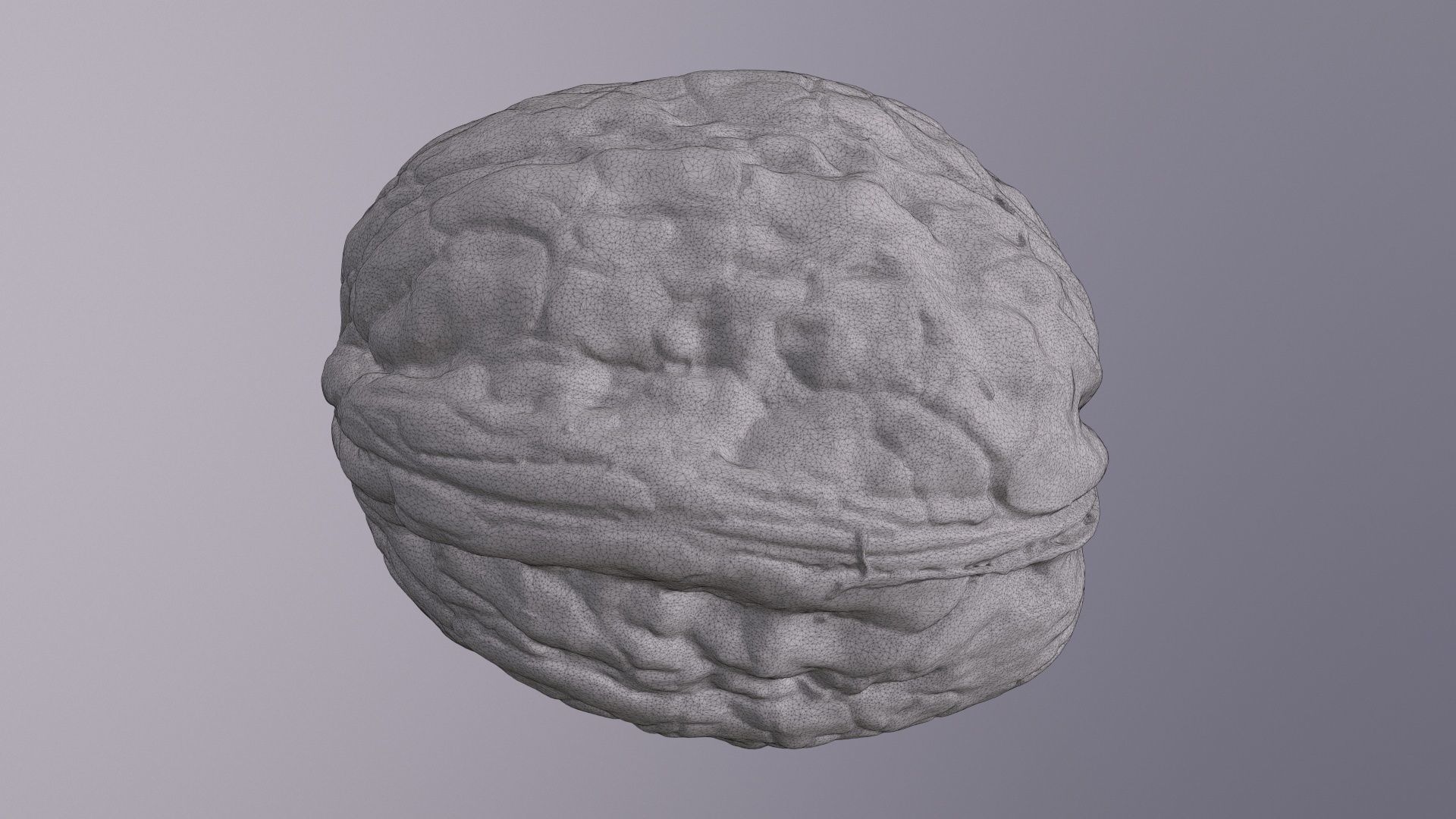 Walnut fruit 03 high-poly 3D model_26