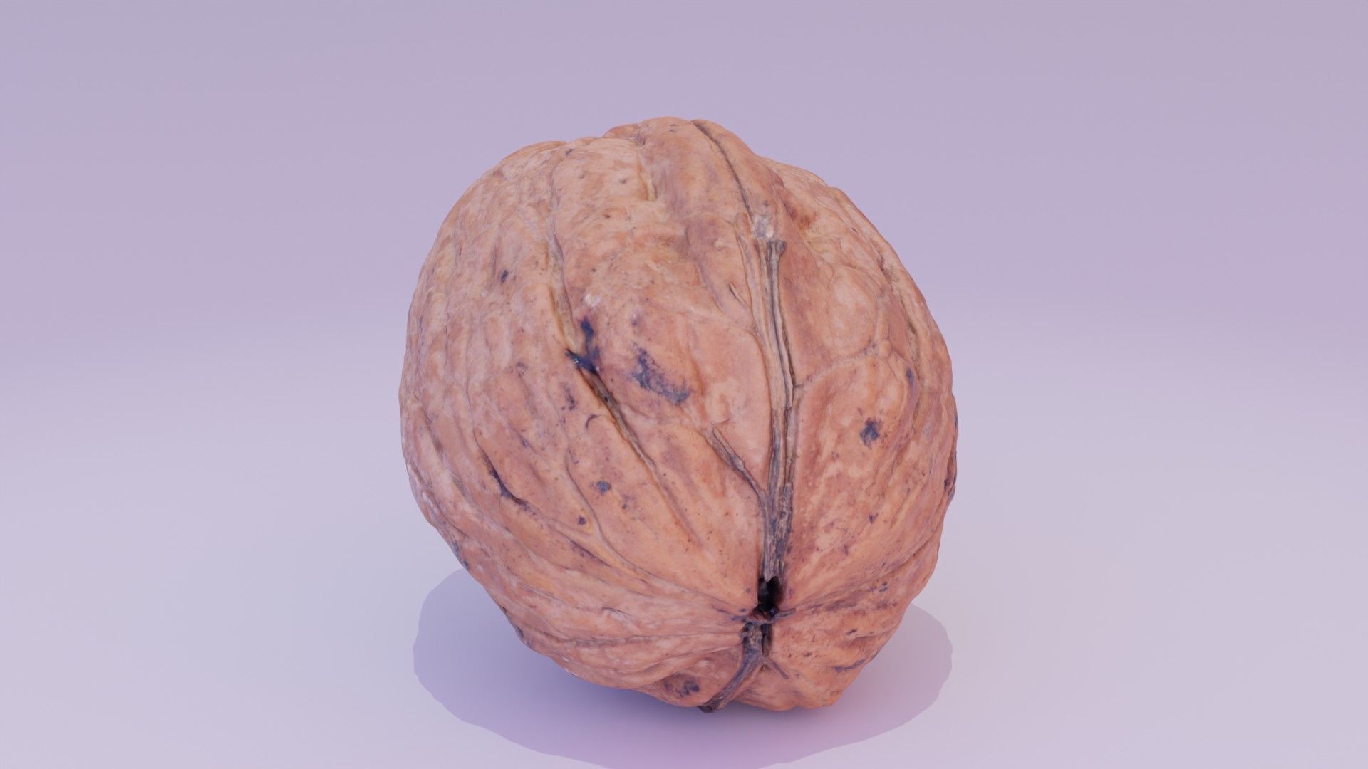 Walnut fruit 03 high-poly 3D model_14