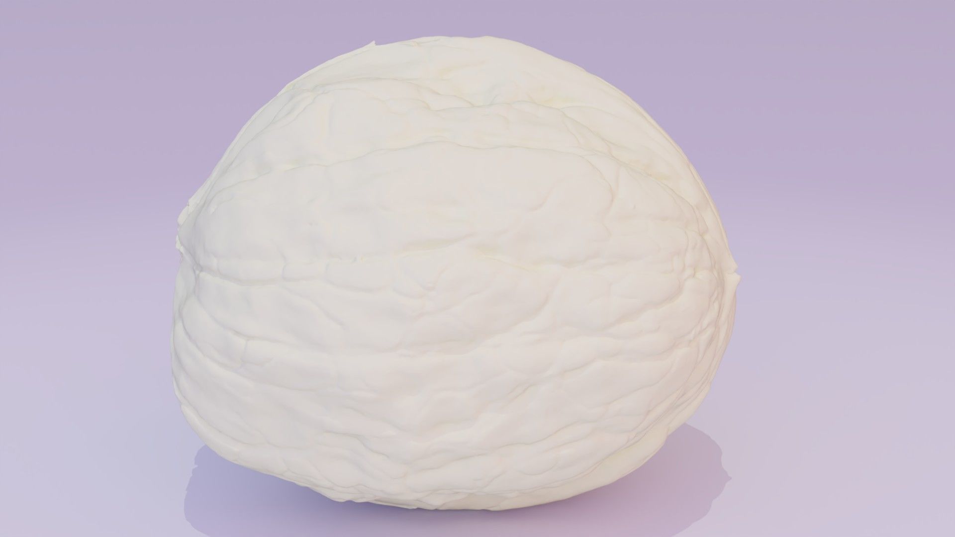 Walnut fruit 03 high-poly 3D model_23