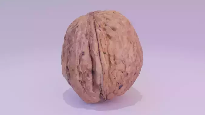 Walnut fruit 03 high-poly