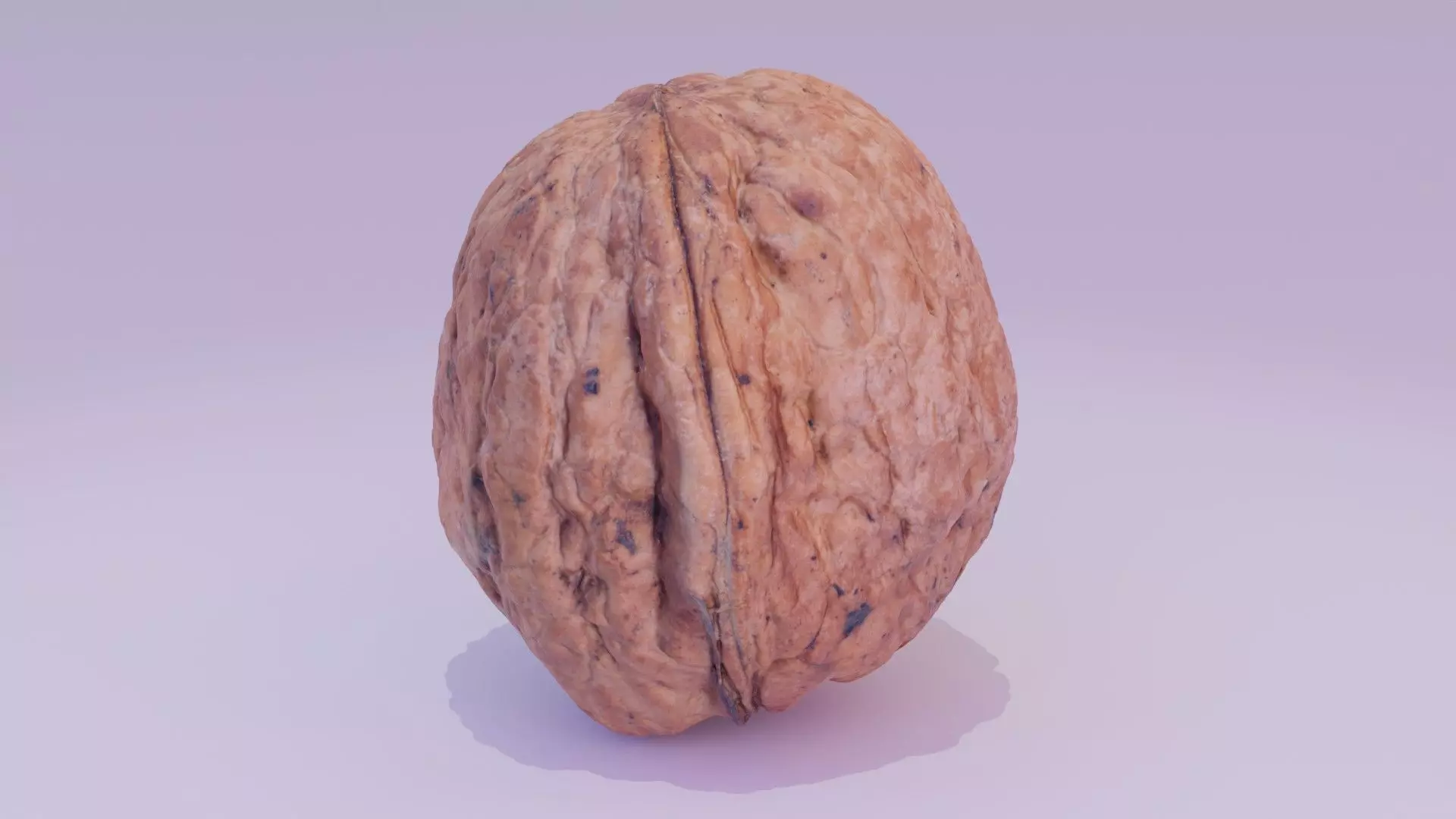 Walnut fruit 03 high-poly 3D model_0