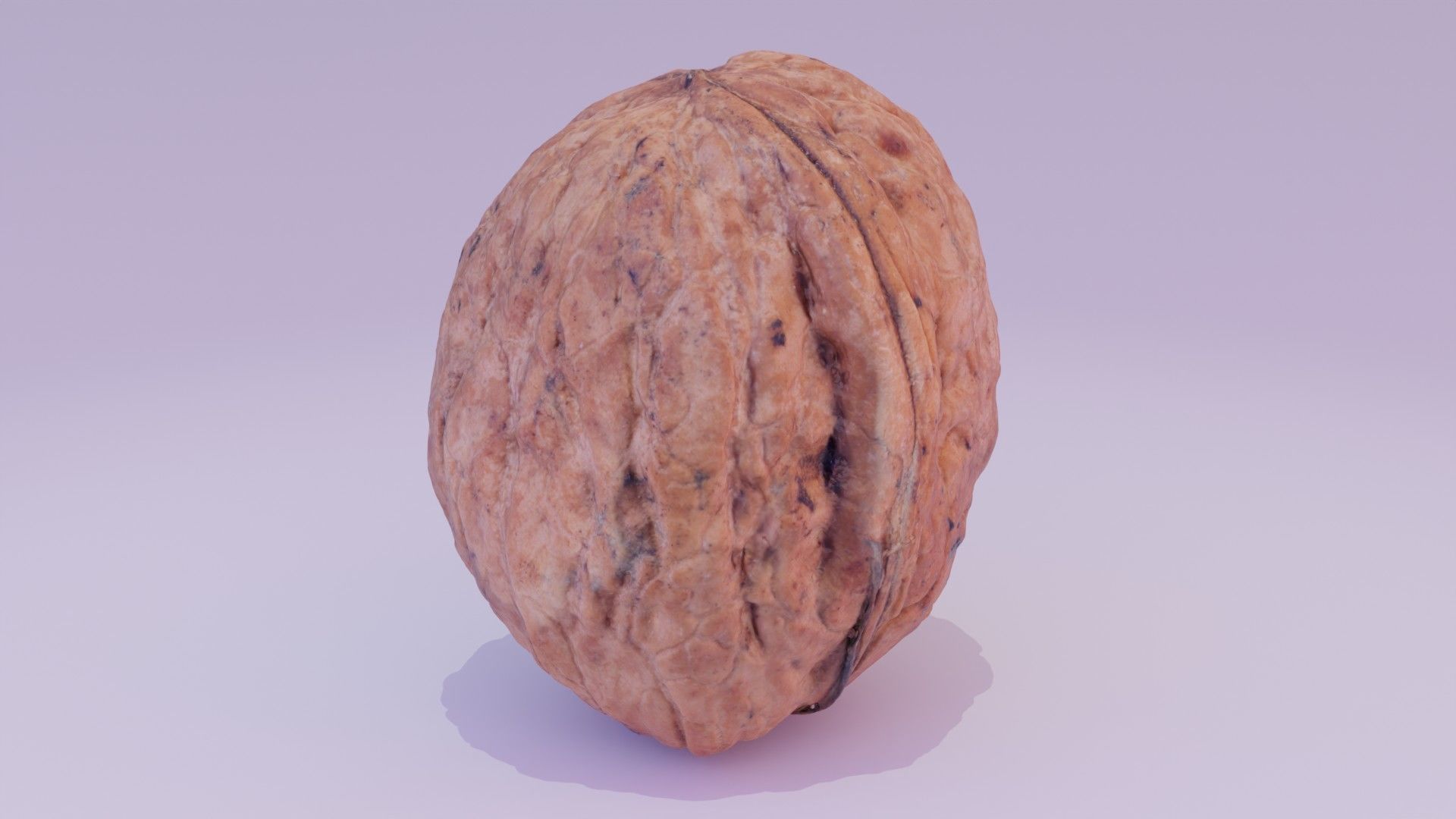 Walnut fruit 03 high-poly 3D model_18
