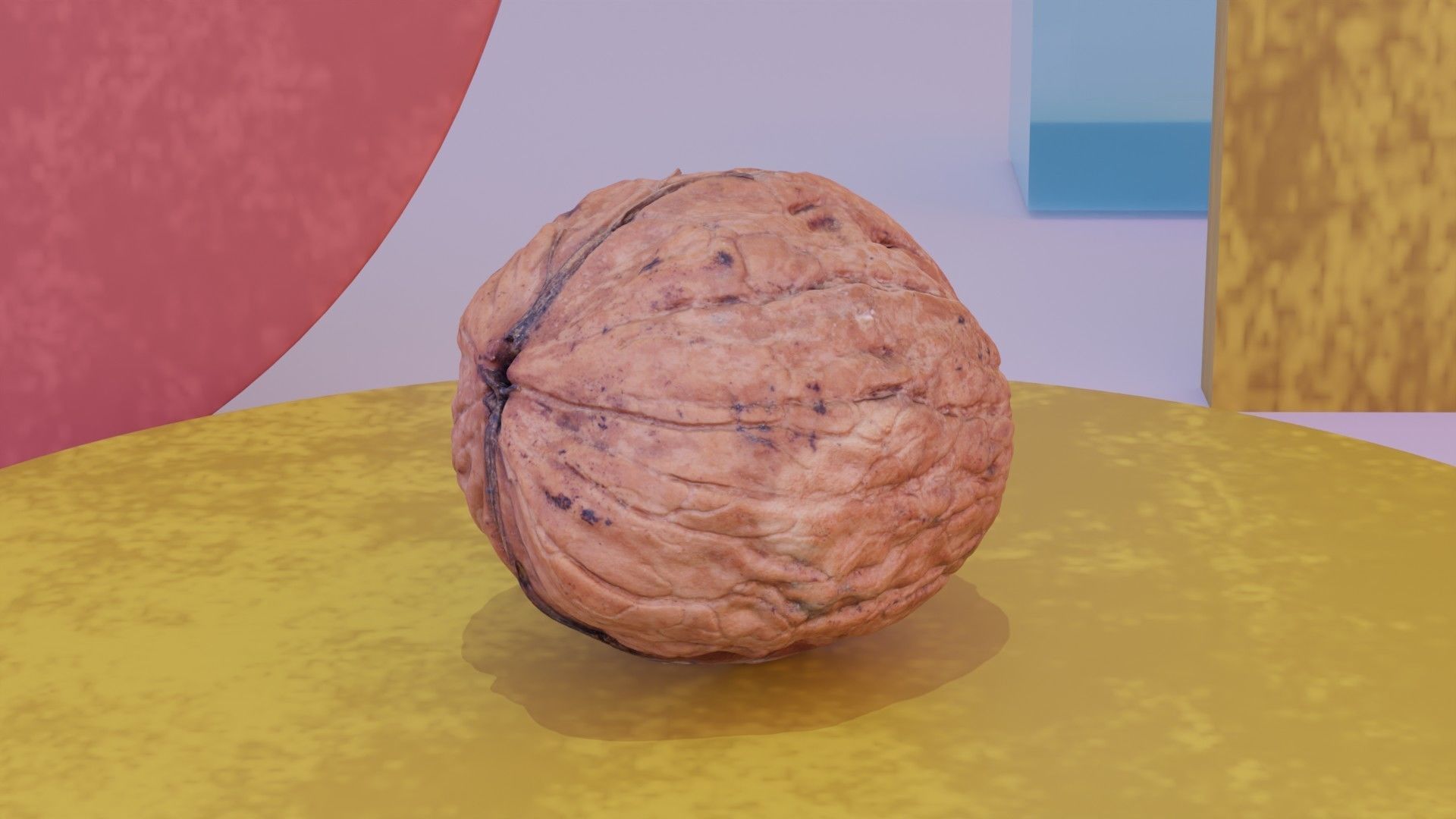 Walnut fruit 03 high-poly 3D model_2