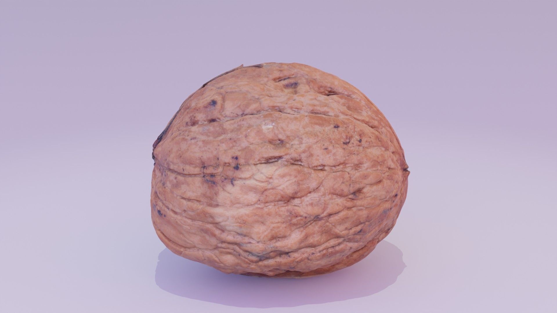 Walnut fruit 03 high-poly 3D model_11