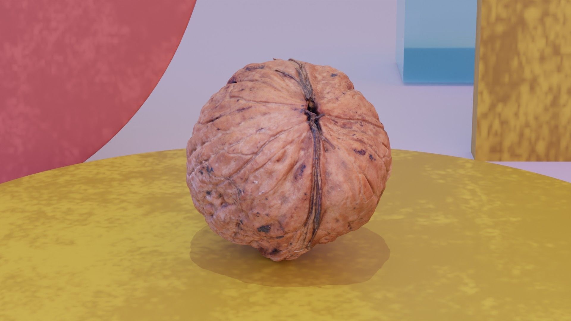 Walnut fruit 03 high-poly 3D model_4