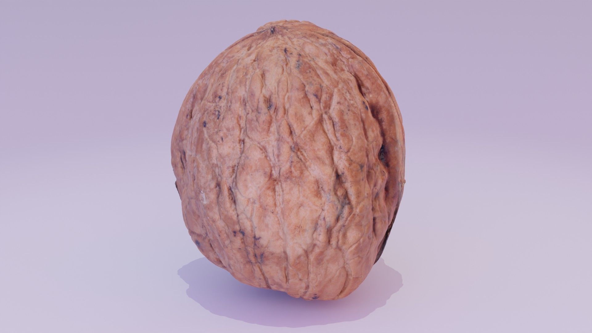 Walnut fruit 03 high-poly 3D model_19